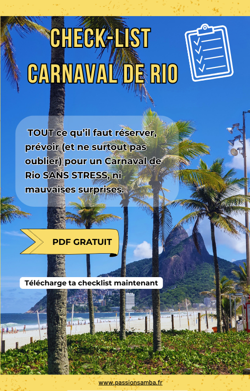 Conseils Carnaval de RIO Guide offert Conseils Carnaval de RIO Guide offert